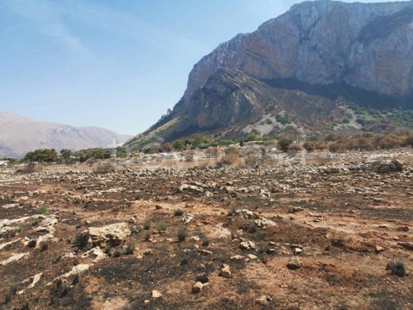 terreno agricolo in vendita a Custonaci