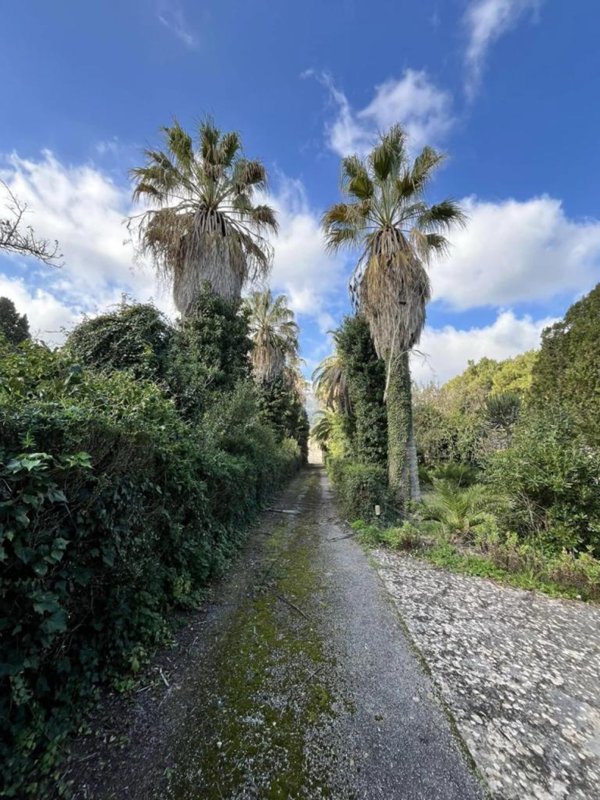 casa indipendente in affitto a Custonaci