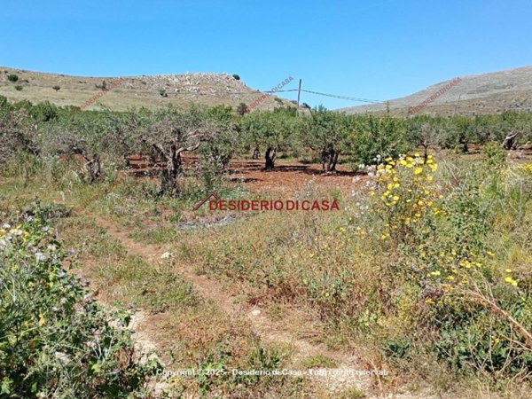 terreno agricolo in vendita a Custonaci