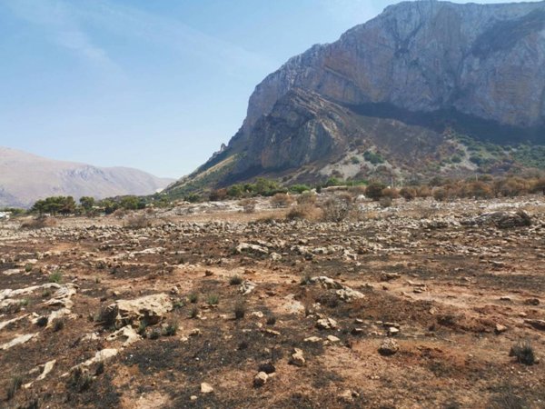 terreno agricolo in vendita a Custonaci