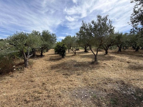 appartamento in vendita a Custonaci