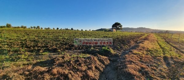 terreno edificabile in vendita ad Erice in zona Napola