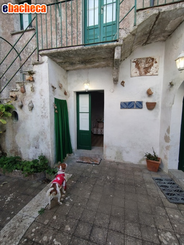 appartamento in vendita ad Erice