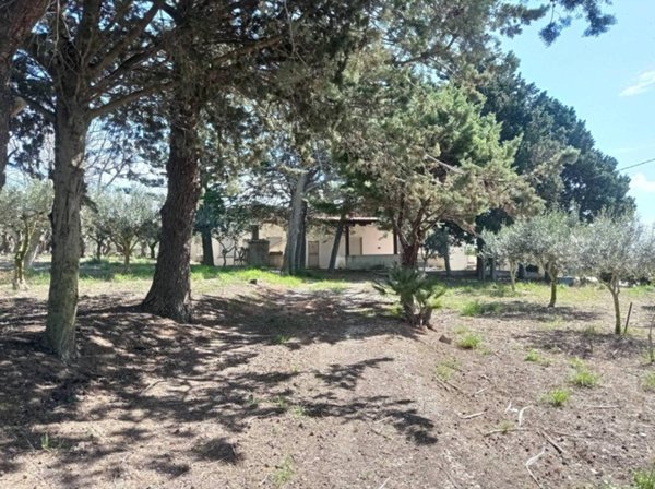 casa indipendente in vendita ad Erice in zona Tangi