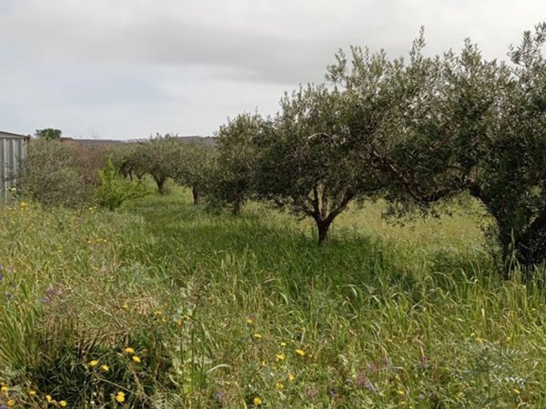 terreno agricolo in vendita ad Erice in zona Napola