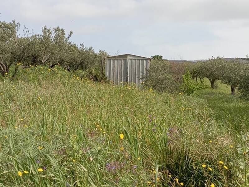 terreno agricolo in vendita ad Erice in zona Napola