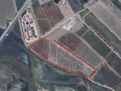 terreno agricolo in vendita ad Erice