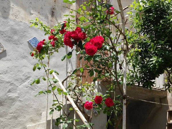 appartamento in vendita ad Erice
