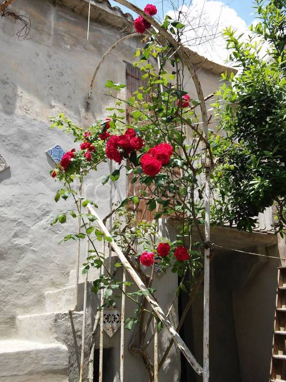 appartamento in vendita ad Erice