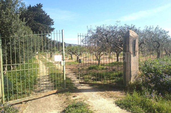terreno agricolo in vendita ad Erice