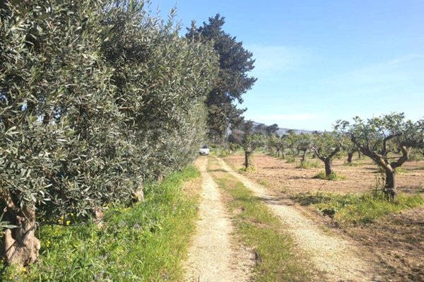 terreno agricolo in vendita ad Erice in zona Napola