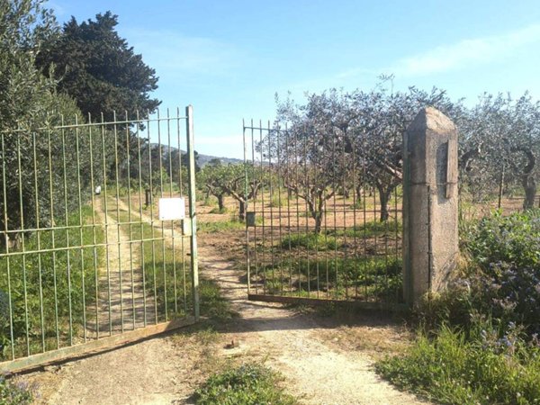 terreno agricolo in vendita ad Erice
