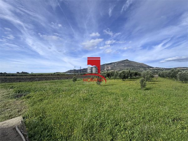 terreno agricolo in vendita ad Erice