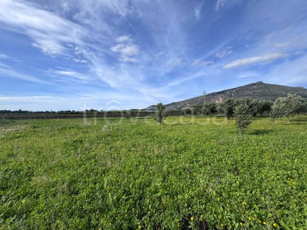 terreno agricolo in vendita ad Erice