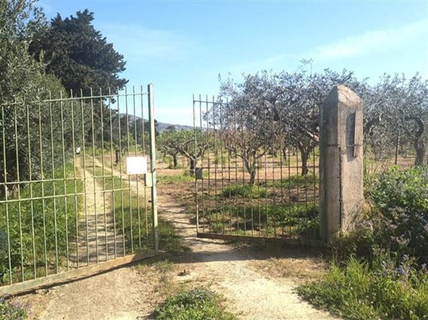 terreno agricolo in vendita ad Erice in zona Napola