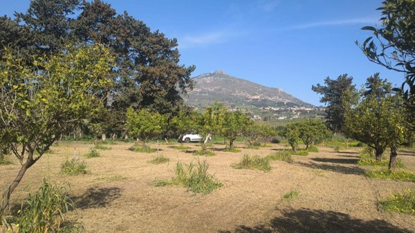 terreno agricolo in vendita ad Erice in zona Napola