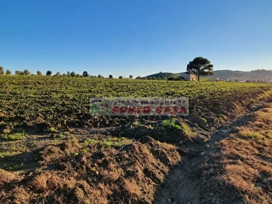 casa indipendente in vendita ad Erice
