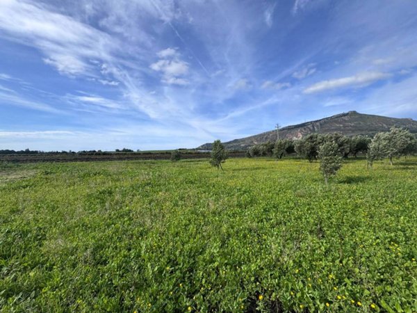 terreno agricolo in vendita ad Erice