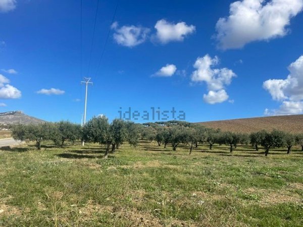 terreno in vendita ad Erice in zona Napola