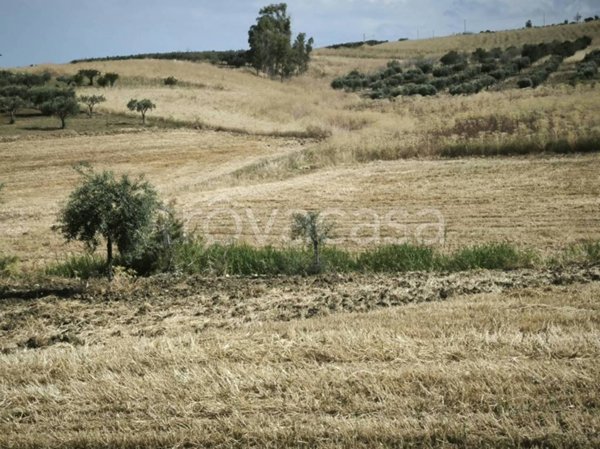 casa indipendente in vendita ad Erice in zona Napola