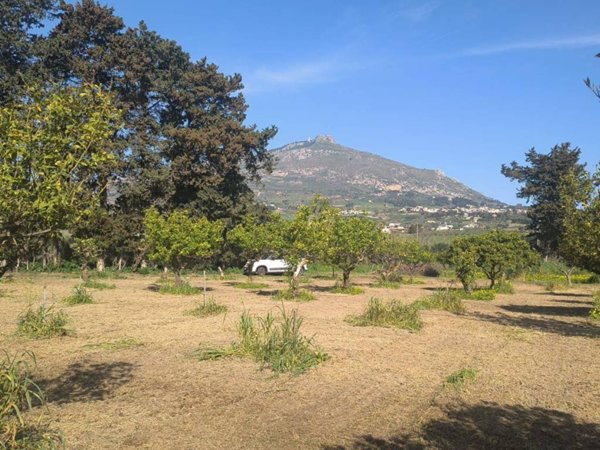 terreno in vendita ad Erice in zona Napola
