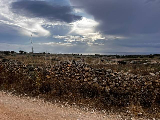 terreno agricolo in vendita a Favignana