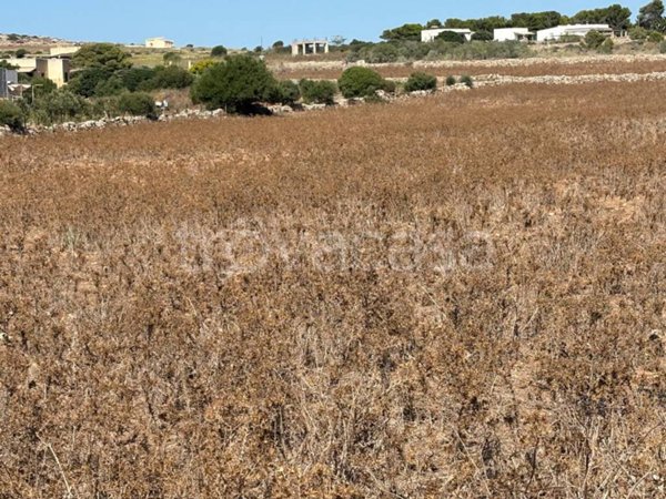 terreno agricolo in vendita a Favignana