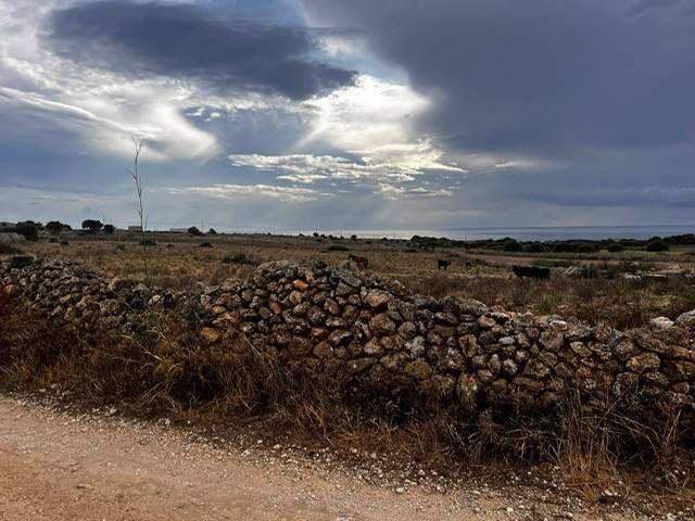 terreno agricolo in vendita a Favignana