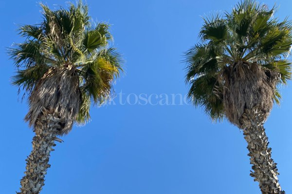 appartamento in vendita a Favignana