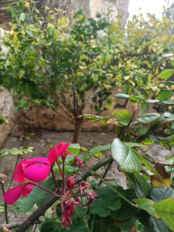 appartamento in vendita a Favignana