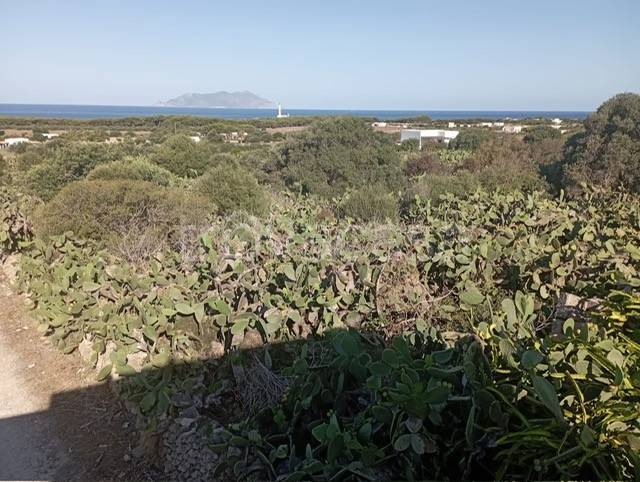 casa indipendente in vendita a Favignana
