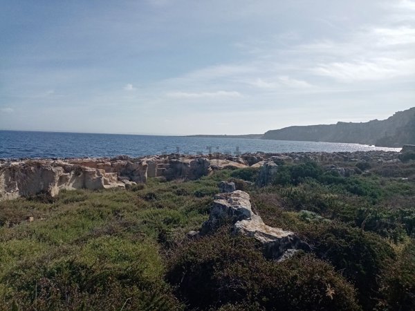 terreno in vendita a Favignana
