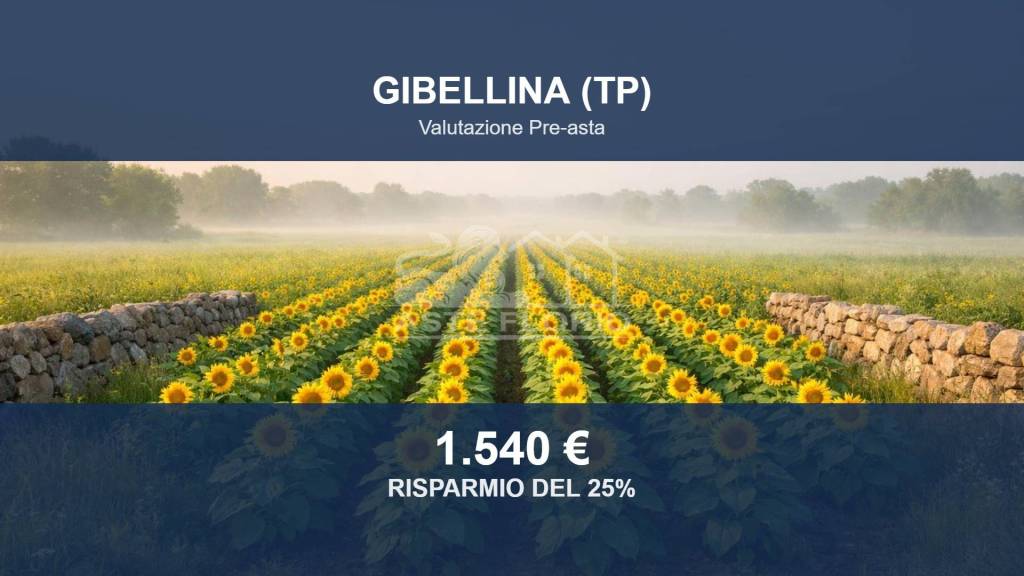 terreno agricolo in vendita a Gibellina