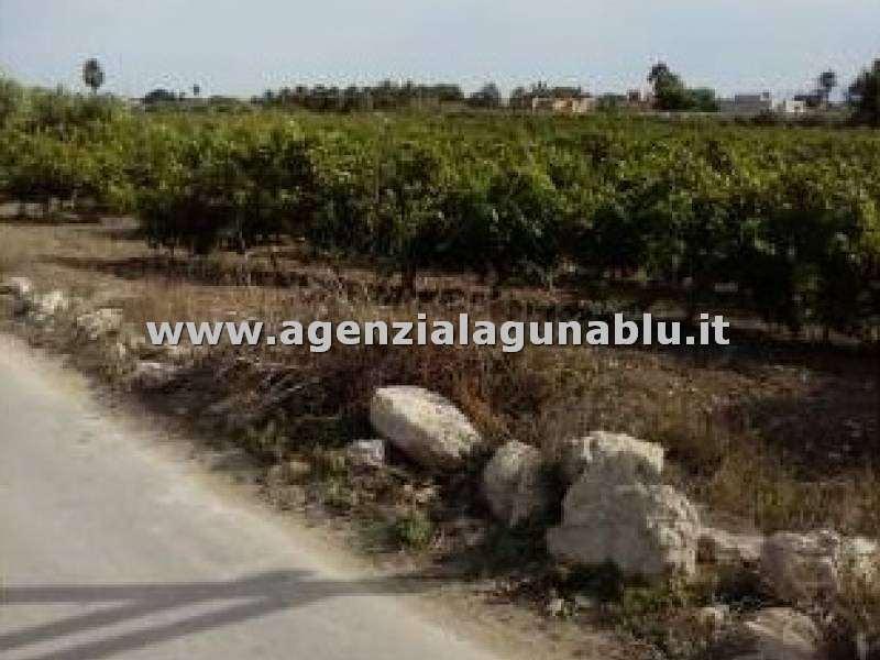 terreno agricolo in vendita a Marsala