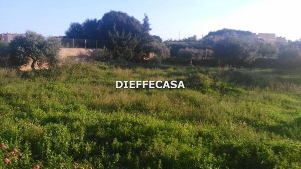 terreno agricolo in vendita a Marsala