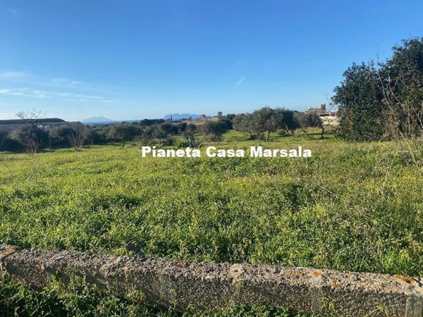 terreno agricolo in vendita a Marsala