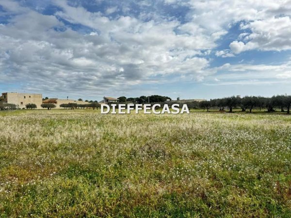 terreno agricolo in vendita a Marsala