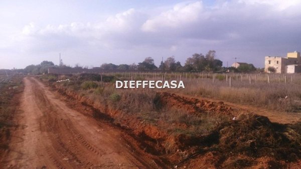 terreno agricolo in vendita a Marsala