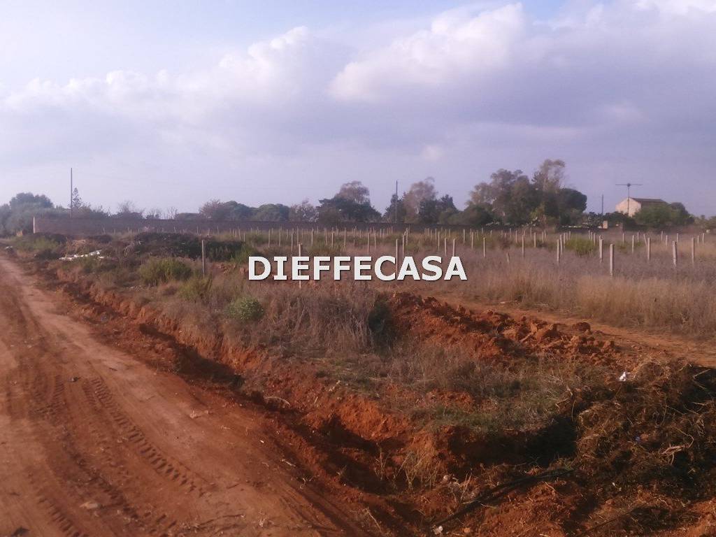 terreno agricolo in vendita a Marsala