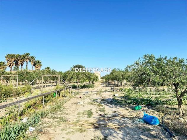 terreno agricolo in vendita a Marsala
