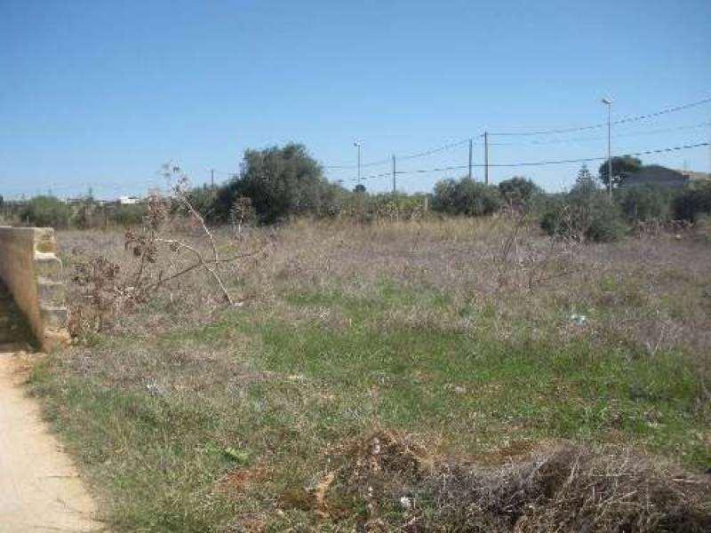 terreno agricolo in vendita a Marsala