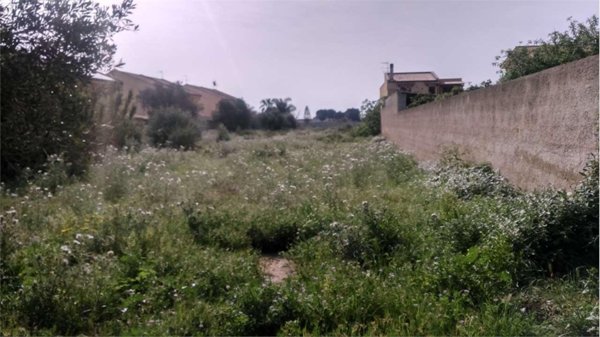 terreno agricolo in vendita a Marsala