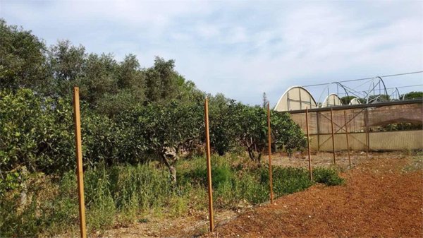 casa indipendente in vendita a Marsala