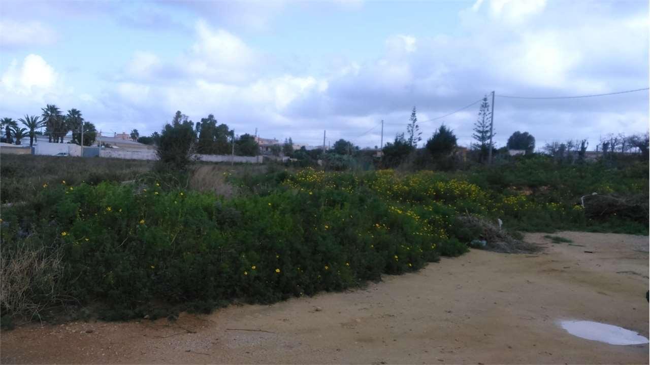 terreno agricolo in vendita a Marsala