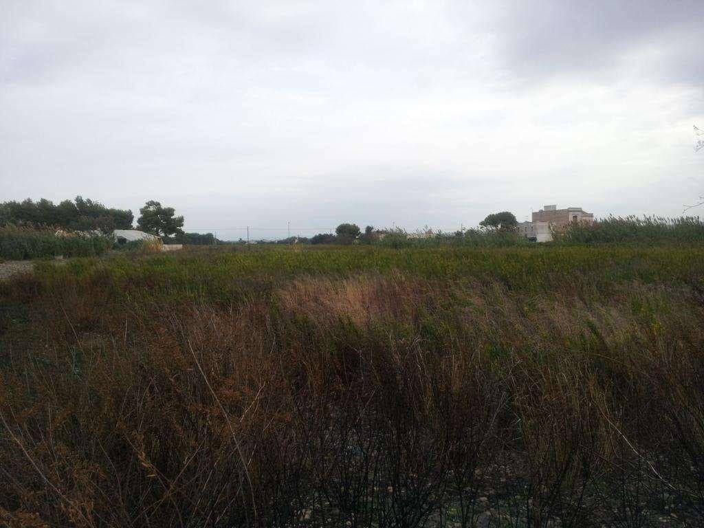 terreno agricolo in vendita a Marsala