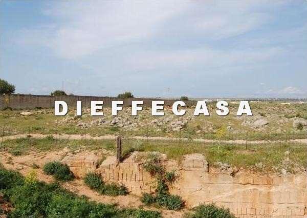 terreno agricolo in affitto a Marsala