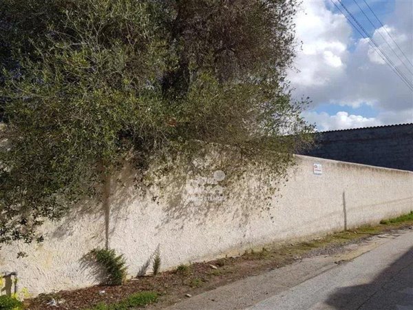 terreno agricolo in vendita a Marsala