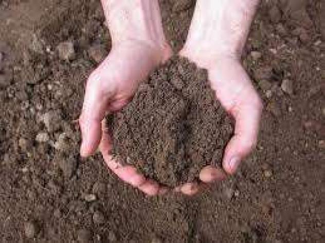 terreno agricolo in vendita a Marsala