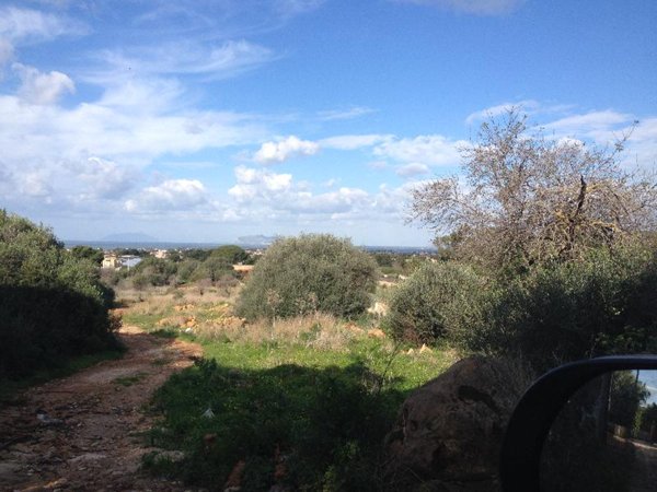 terreno agricolo in vendita a Marsala