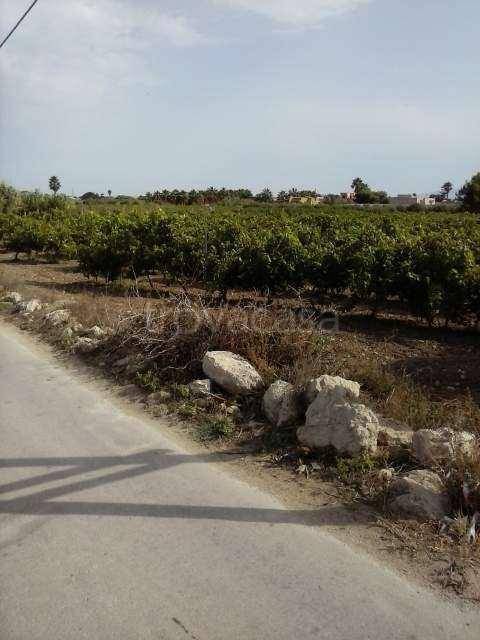 terreno agricolo in vendita a Marsala